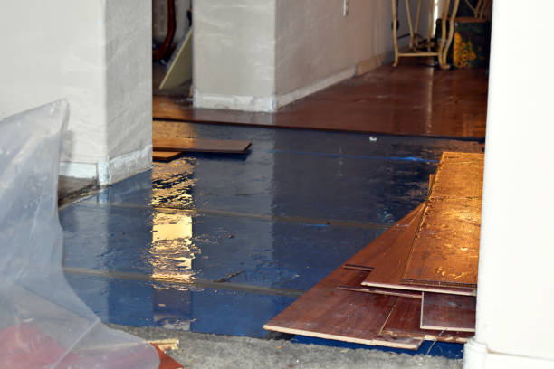 Professional Water Damage Restoration technician working in Harmony, RI